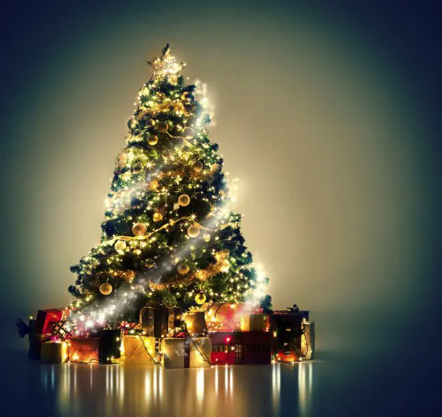 Censis: Natale povero per 5 milioni di italiani, peggiorato il tenore di vita per 7,6 milioni di famiglie