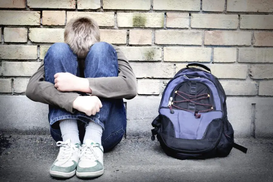 Bullismo, la generazione digitale sul web: sì agli insulti da smartphone e paura di molestie dagli adulti