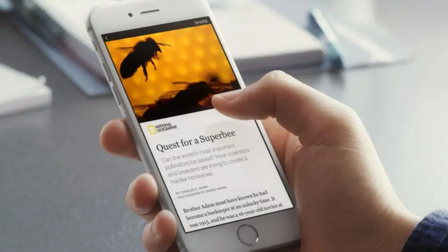 Trent’anni di Gif e Facebook le inserisce nei commenti