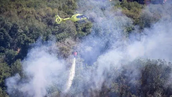 Roma, incendio nel Parco del Pineto: evacuate case, convento e centro anziani. Domato in serata. Roghi in tutto il Lazio