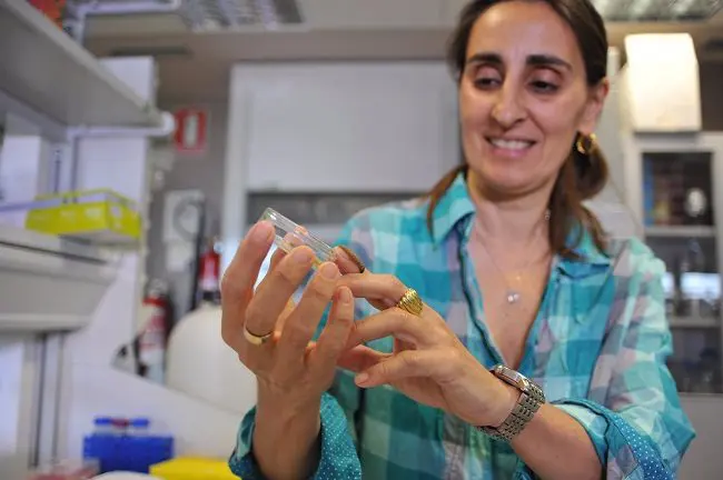 Ha scoperto il bruco mangia-plastica, ma ora la ricercatrice italiana è senza lavoro