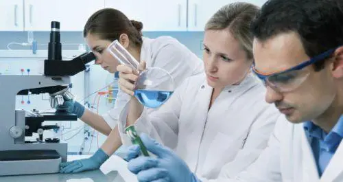 Giornata mondiale della Lebbra: la medicina vuole cancellarla definitivamente entro il 2020