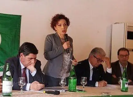 Poltrone in erba