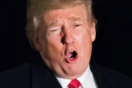 Trump: “Incontro con i leader democratici, ipotesi di un muro d’acciaio”