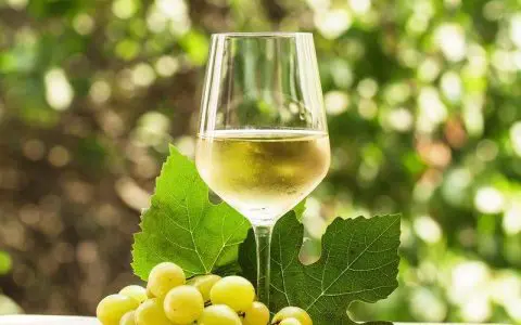 Nasce il prosecco conservato nella cantina in fondo al mare