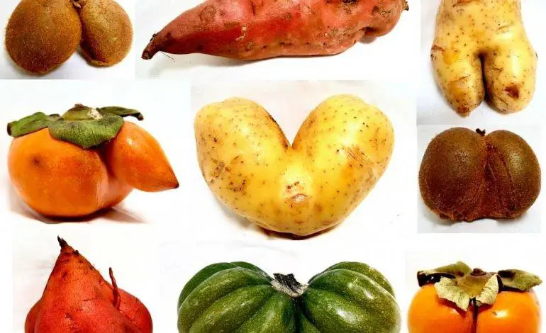 Buttiamo tanto cibo, solo perché è “brutto”