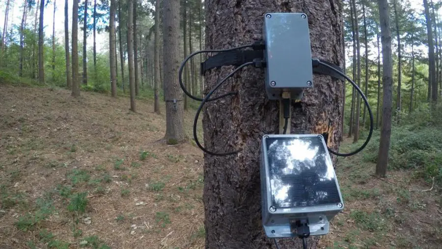 Con Trace parte in Umbria la sperimentazione degli alberi “parlanti”
