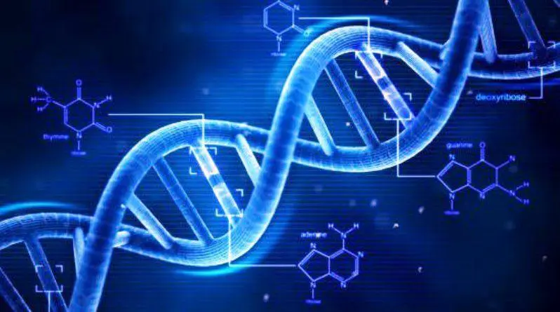 Cina, annunciata la creazione dei primi esseri umani con Dna modificato | “Due gemelline immuni allʼAids”