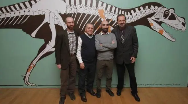 Saltriovenator zanellai, il dinosauro e predatore più grande e antico è italiano