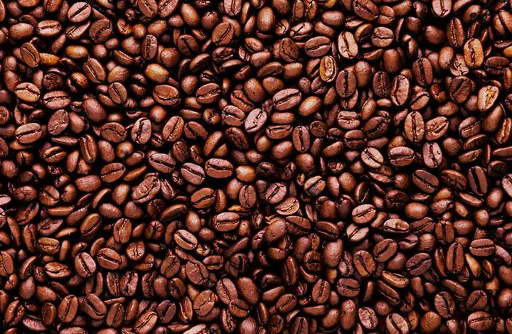 Il caffè fermentato di Orosi: dal Costa Rica l’eccezione unica al mondo