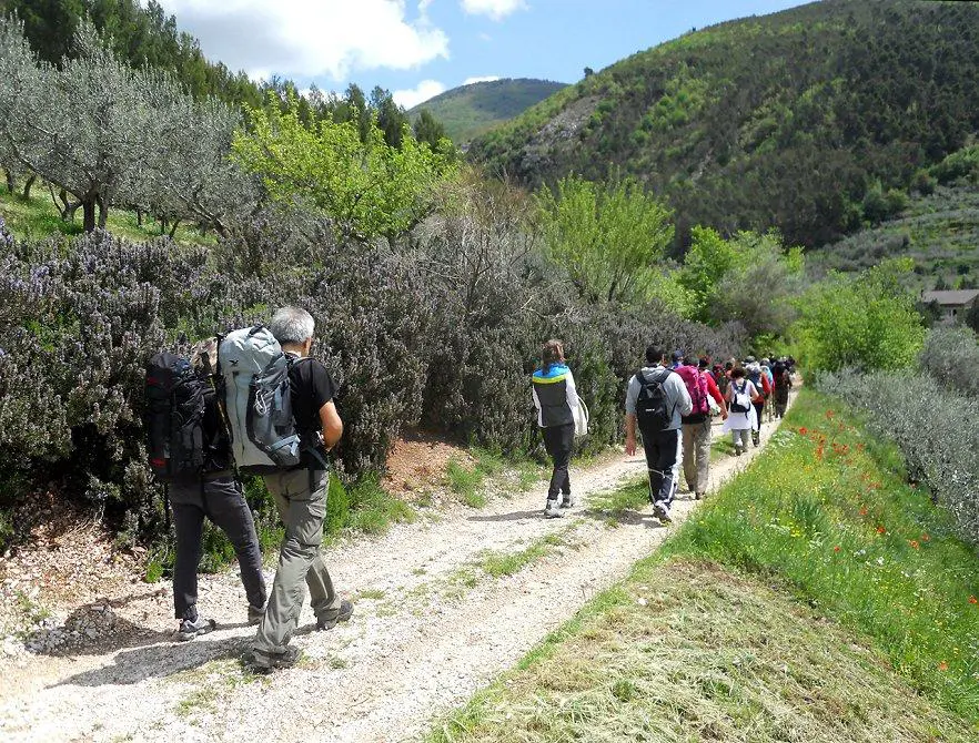 Viaggi a piedi: perché provare il Cammino Francescano della Marca