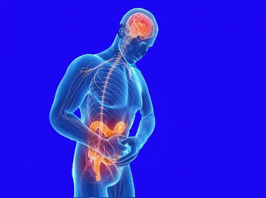 Viaggiare con le malattie infiammatorie croniche intestinali: i consigli degli esperti per una vacanza serena