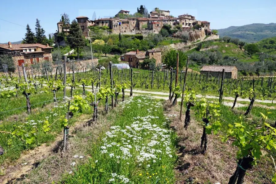 Greve in Chianti