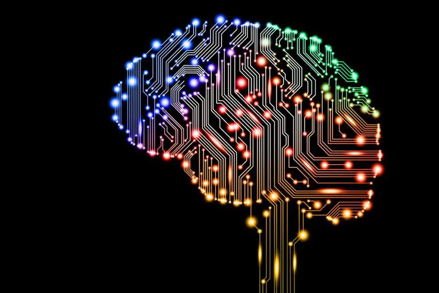 In 10 anni cervello sarà interfaccia
