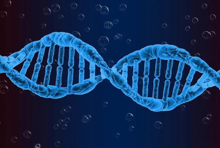 Cnr, leggere Dna per comprendere le malattie gravi
