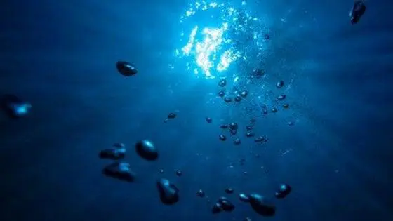 Gli oceani stanno perdendo il loro ossigeno