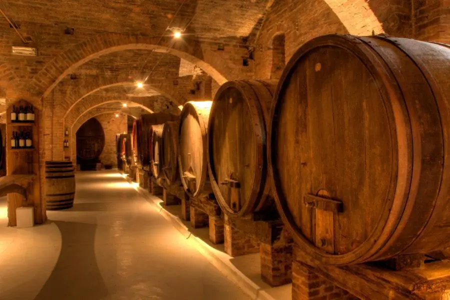 Dalle vigne alle stelle: il turismo del vino si fa sempre più sorprendente