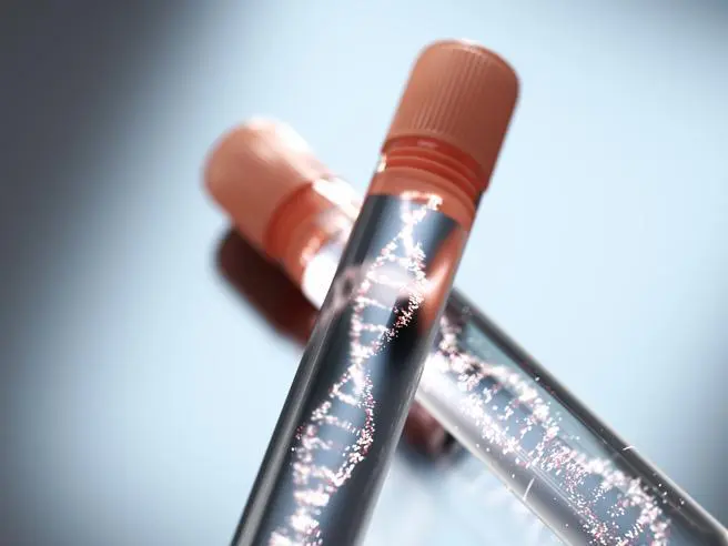 Coronavirus e test sierologici: ecco le risposte delle Regioni