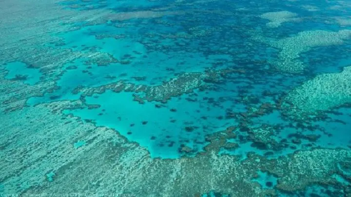 Nuvole più chiare contro lo sbiancamento dei coralli