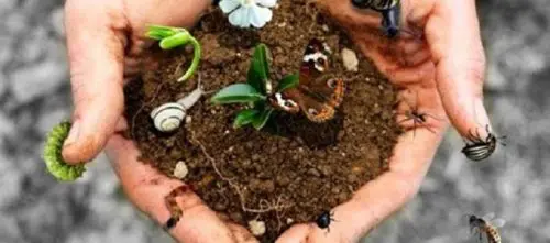 8 domande sulla biodiversità