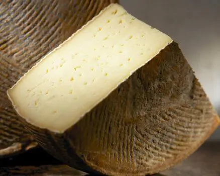 Nasce il Consorzio a tutela del formaggio Ossolano Dop