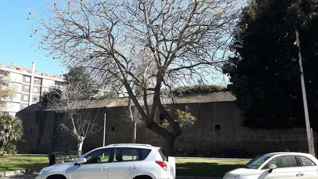 Cagliari, il giardino “Teresina Collu” nell’autorevole Topscape Paysage