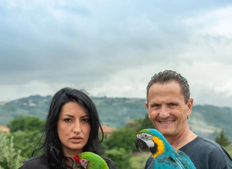 Passione Pappagalli, l’associazione che difende la libertà degli animali