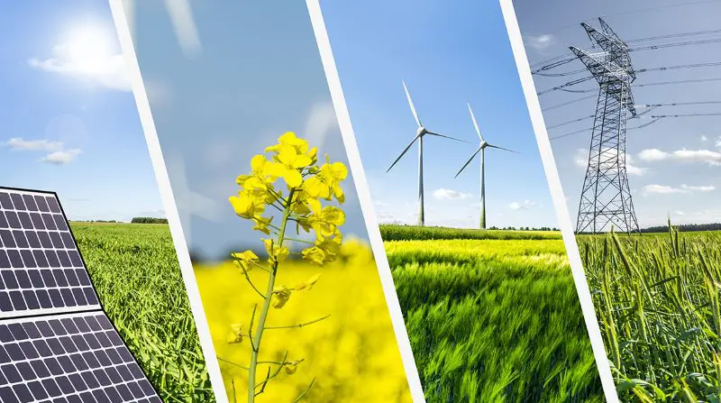 Greenpeace, Legambiente e Wwf: ecco delle valide proposte alternative al gas