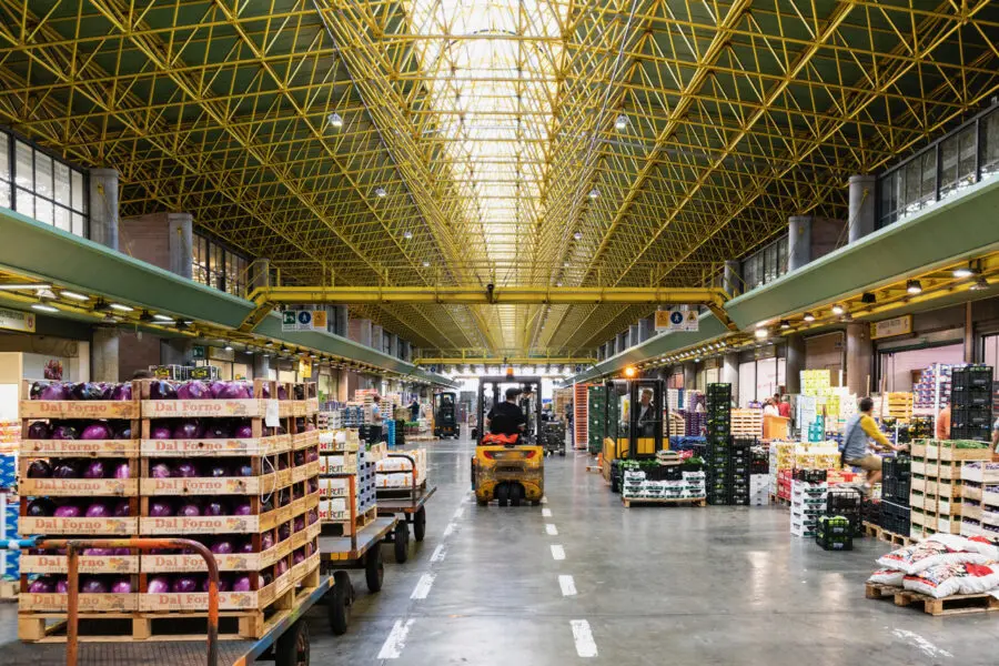 Dalla terra alla tavola: come i mercati contadini salvano l’ambiente