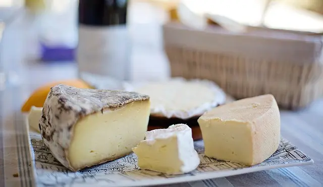 Gli antibiotici del formaggio potrebbero influenzare lo sviluppo dei mircobiomi