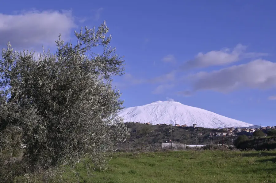 Alla scoperta delle tradizioni culinarie siciliane con l’Olio Monte Etna DOP