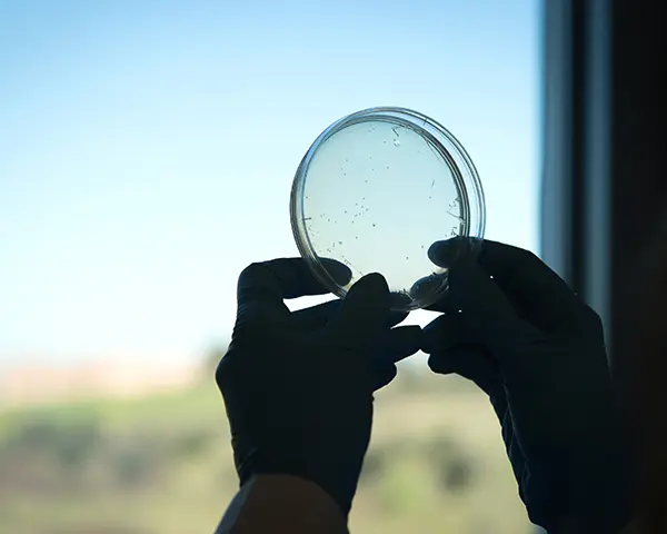 Nuove speranze contro il tumore al colon-retto: il nanosistema che riduce gli effetti collaterali