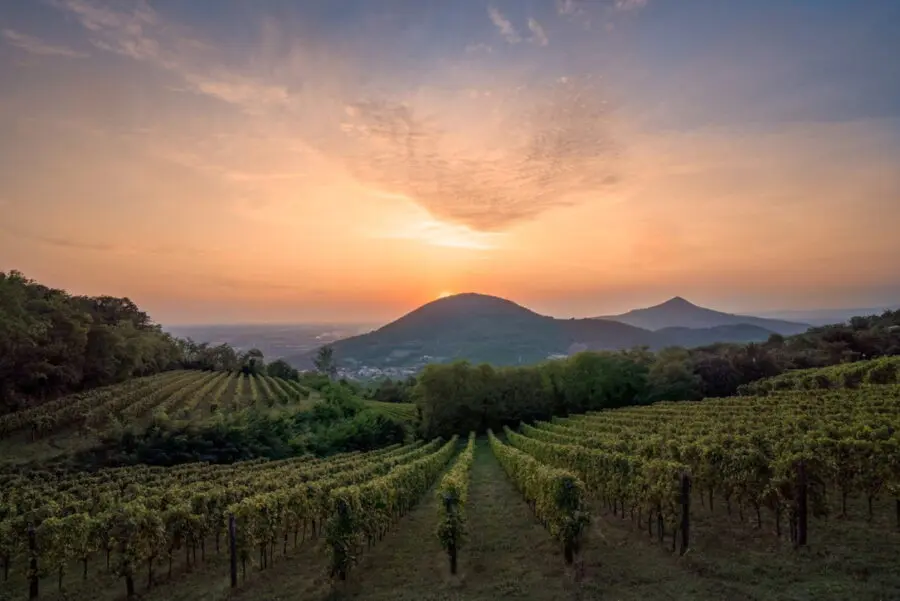 Torna la Giornata Regionale dei colli veneti, si celebra la bellezza del territorio