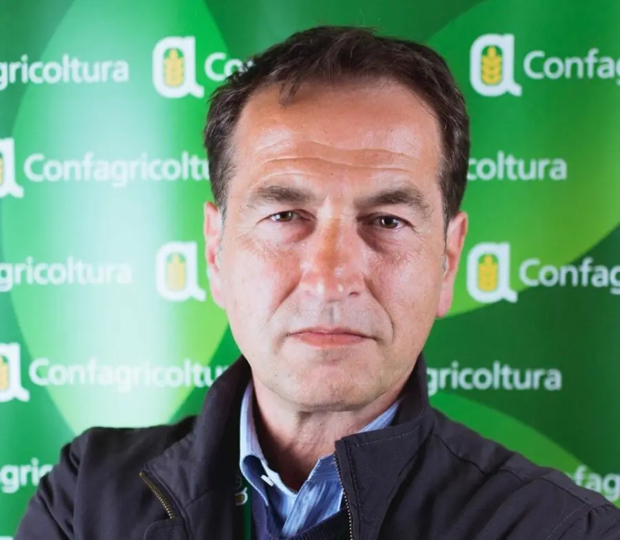 Quotazioni del grano sempre più basse, Confagricoltura Bologna: “Situazione gravissima, da inizio anno persi 50 euro a tonnellata. Così i costi di produzione superano il fatturato delle aziende”