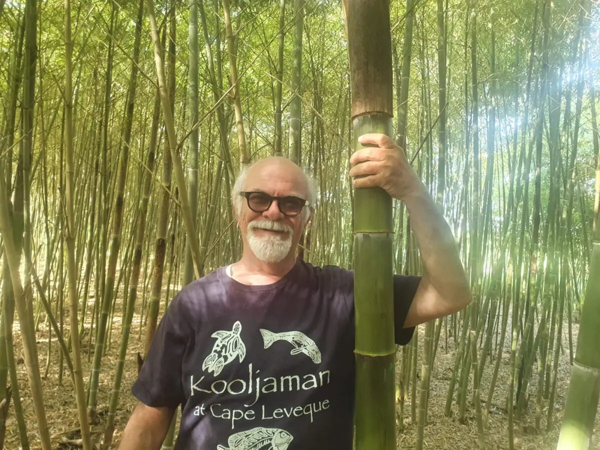 Ferrara nel Verde: Kida Organic Forest entra nell’Organizzazione Mondiale del Bambù