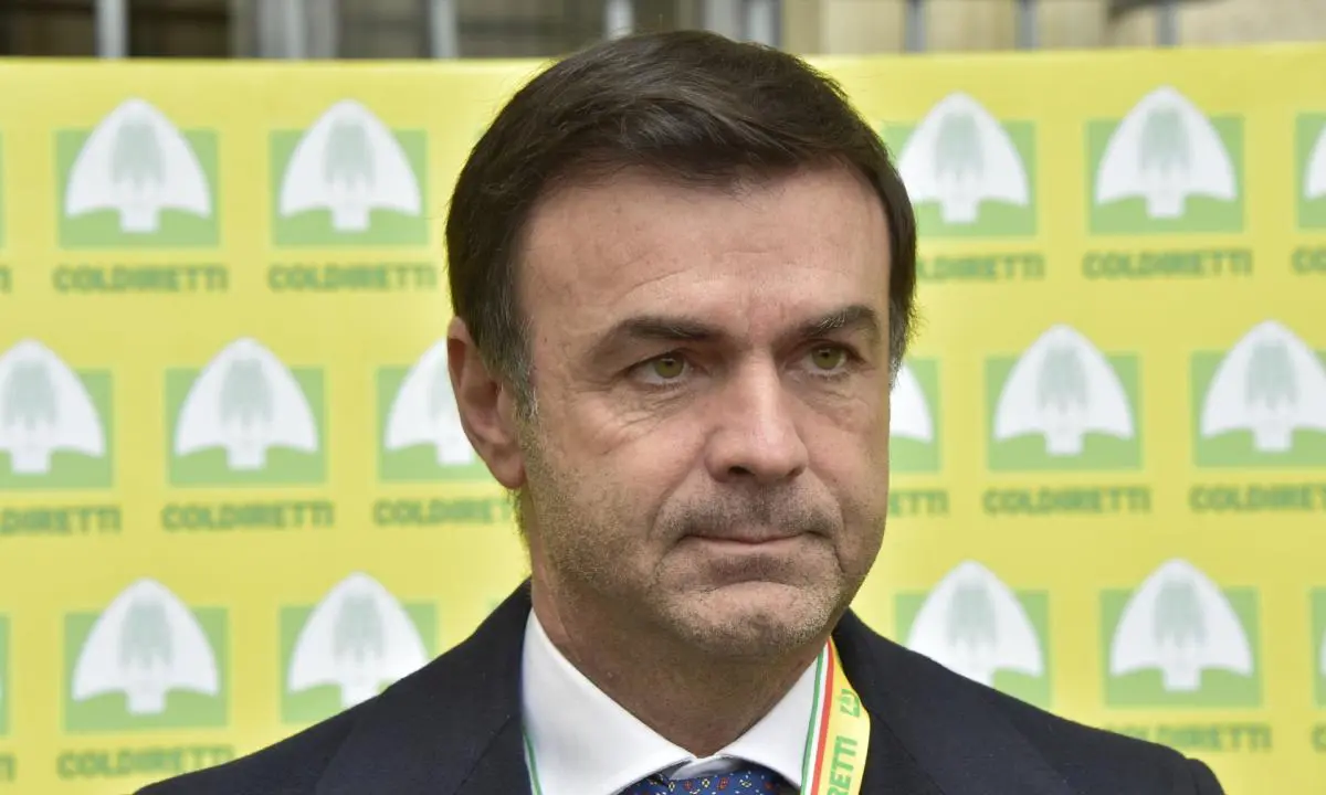 Allarme Made in Italy: Dazi USA bloccano l’export del cibo italiano
