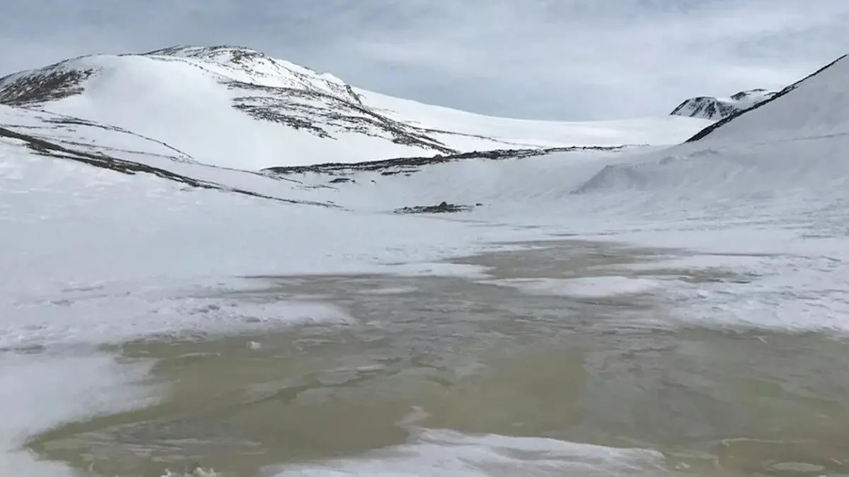Scoperta straordinaria in Antartide: acqua dolce sotto ghiaccio perennemente coperto