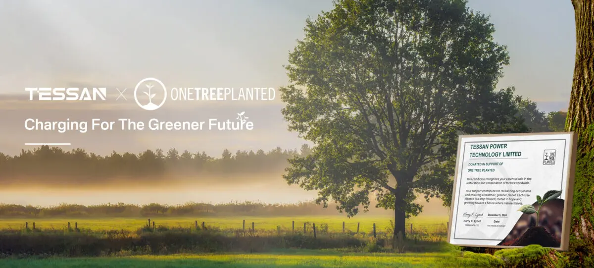 TESSAN e One Tree Planted: 10mila alberi per un futuro più verde