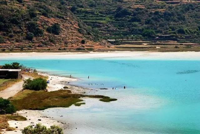 Rivoluzione agricola a Pantelleria: si punta sul tartufo