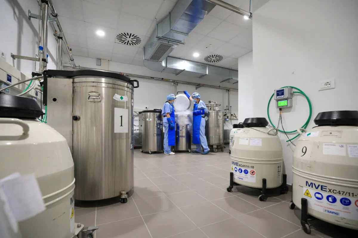PMA a Bologna: record di successi e nuove tecnologie al Sant’Orsola