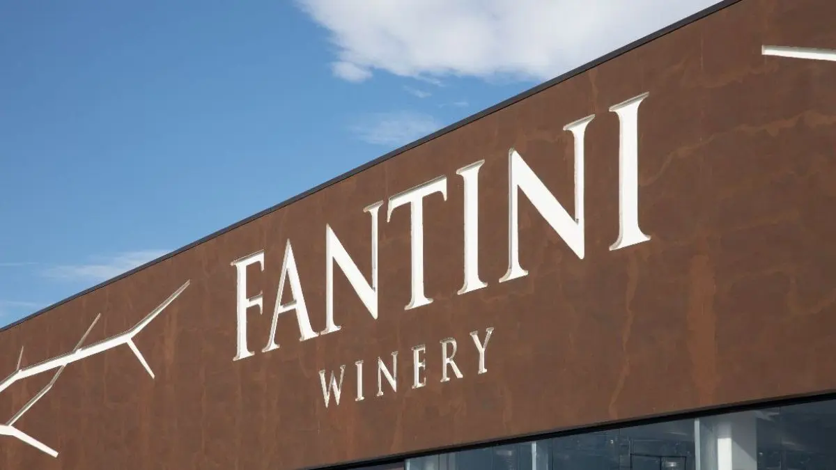 Fantini, colpo grosso in Spagna: il vino italiano alla conquista di nuovi mercati