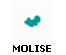 ico_molise