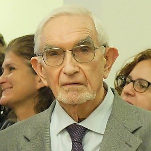 giuseppe guzzetti