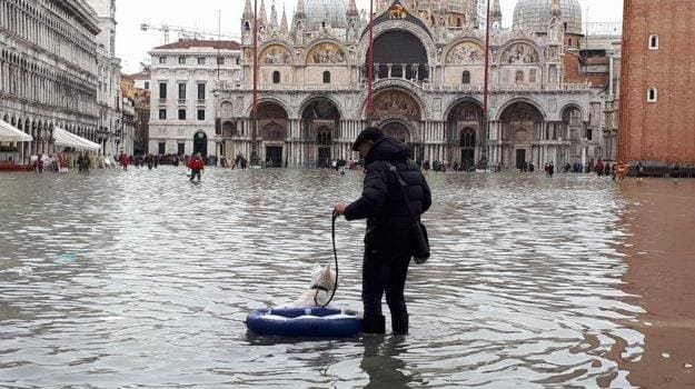 Questa immagine ha l'attributo alt vuoto; il nome del file è venezia-625x350.jpg