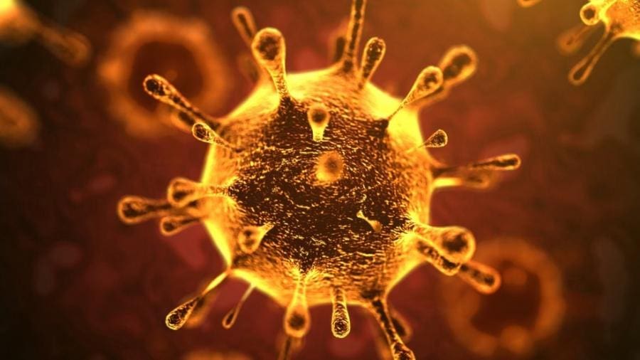 Questa immagine ha l'attributo alt vuoto; il nome del file è Coronavirus.jpg