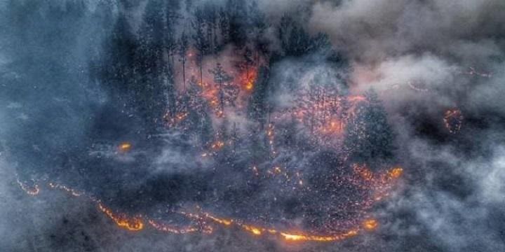 Questa immagine ha l'attributo alt vuoto; il nome del file è Siberia.jpg