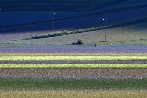 Questa immagine ha l'attributo alt vuoto; il nome del file è trekking-castelluccio.jpg